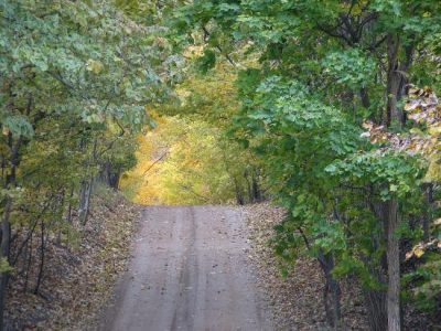 Summer Into Autumn Image
